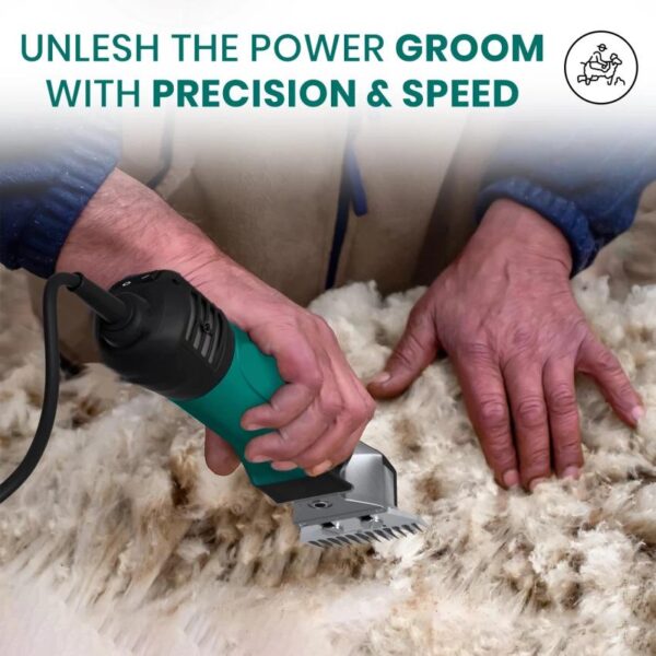Professional Rechargeable Electric Shaver - V816